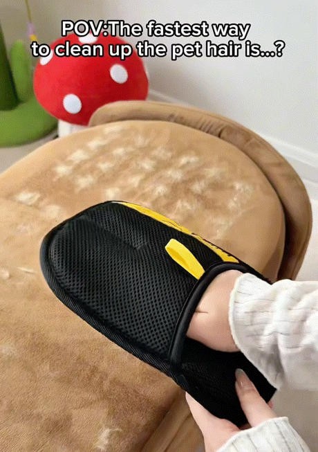Guante para pelos de mascotas: elimina el pelo de muebles, ropa y más