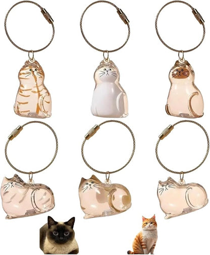 Llavero Cápsula Conmemorativa de Pelo de Mascota Forever Paw, Paquete de 6
